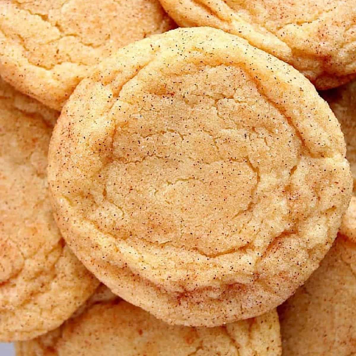 https://www.crunchycreamysweet.com/wp-content/uploads/2018/10/best-snickerdoodles-feat.jpg