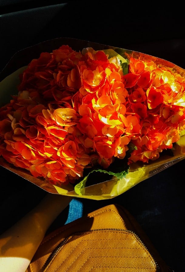 Orange flowers held by hand.