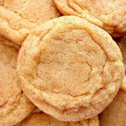 the best snickerdoodles 1a 500x500 The Best Chewy Snickerdoodles Recipe