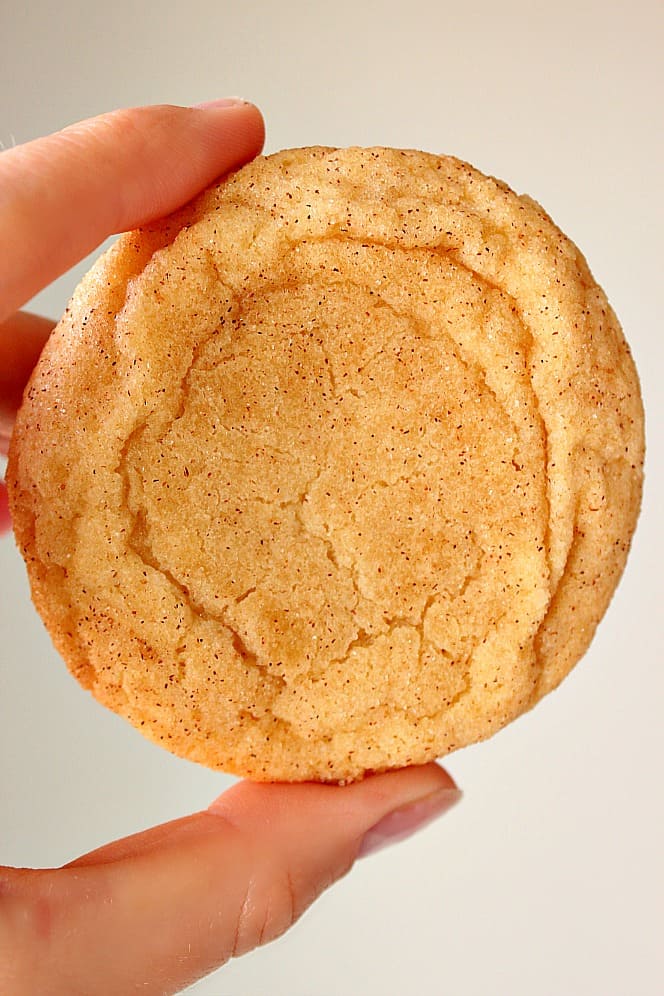Close up on snickerdoodle cookie held by human fingers. 
