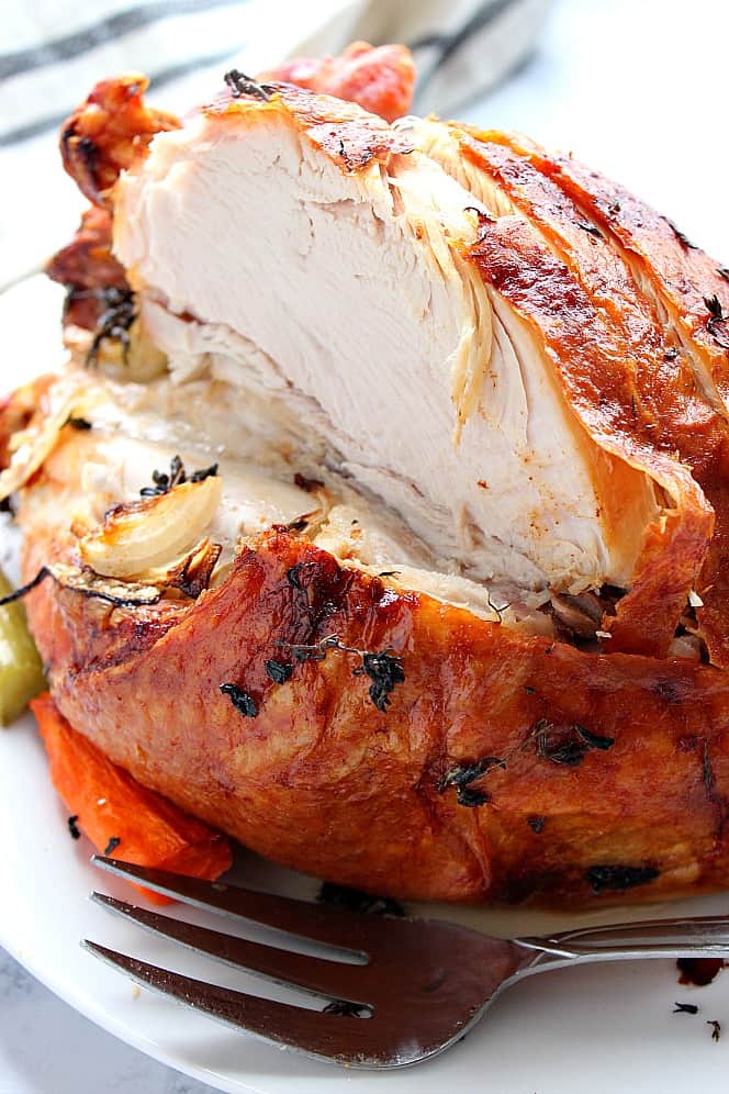 Close up side shot of oven-roasted turkey breast.