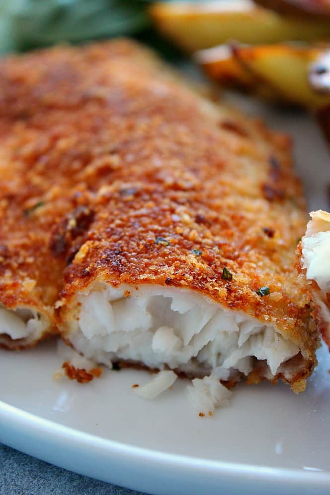 Close up shot of breaded tilapia, inside shot of flaky white fish meat.