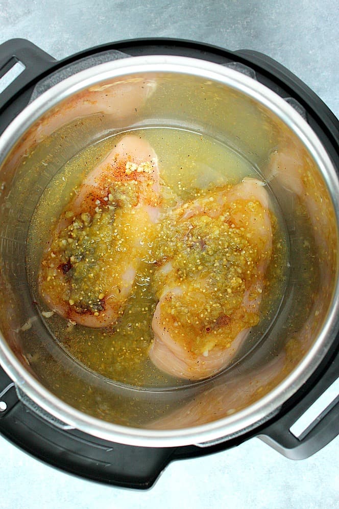 Overhead shot of two chicken breast and salsa verde in Instant Pot.