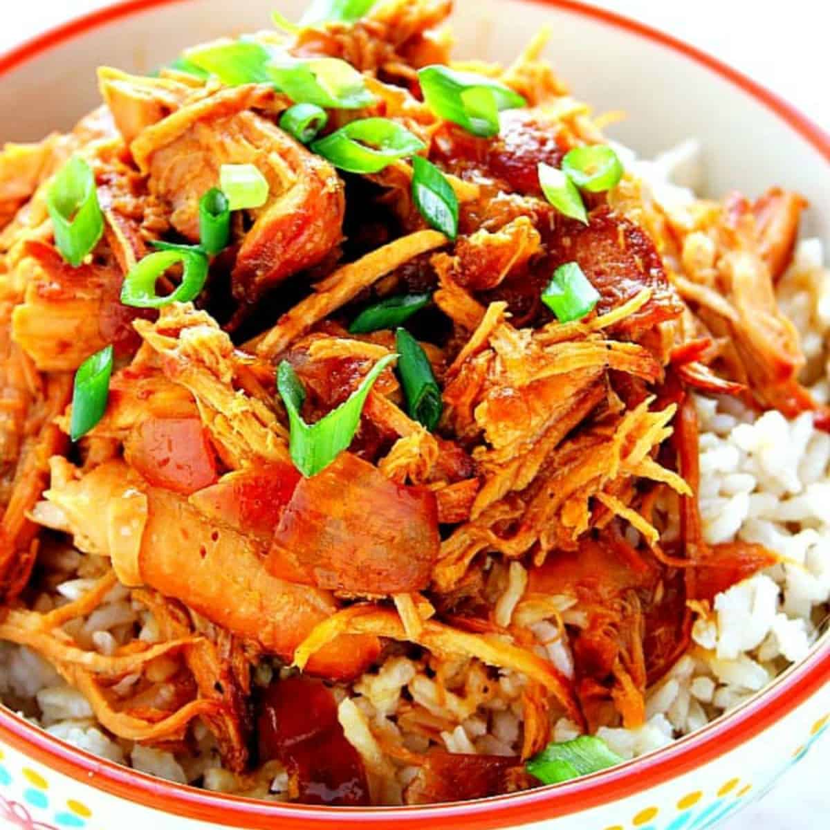 Teriyaki chicken on rice in a bowl.