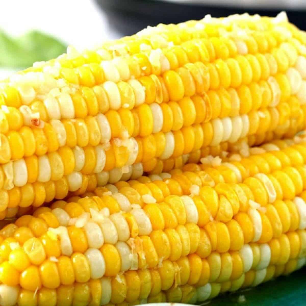 Corn on the cob on a plate.