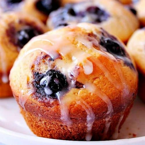 Blueberry muffin on a plate.