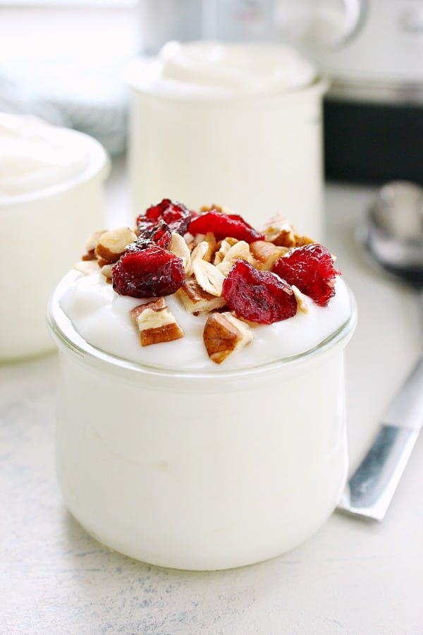 Instant Pot Yogurt C Healthy Instant Pot Recipes for Everyone