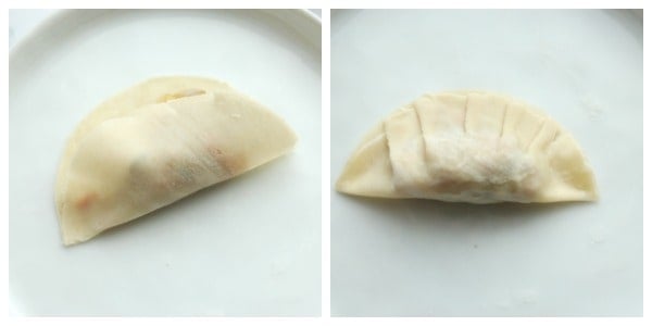 Folded potstickers.