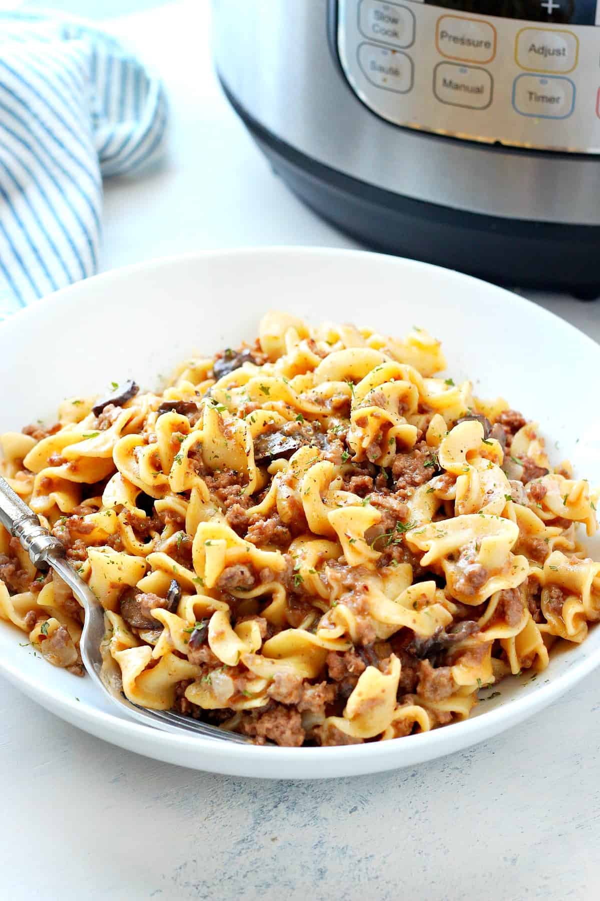 Beef stroganoff in a white bowl.