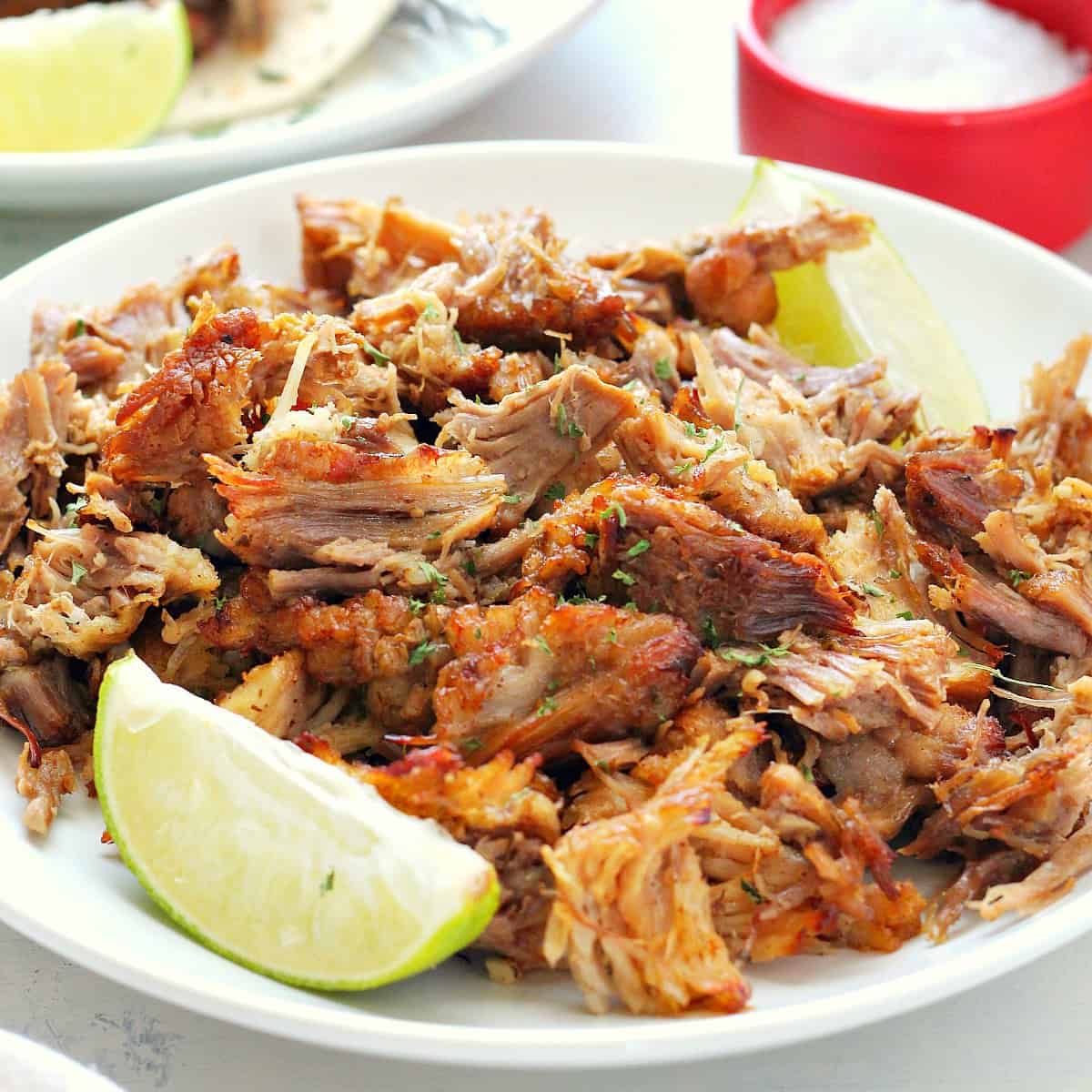 Pork carnitas on a plate.