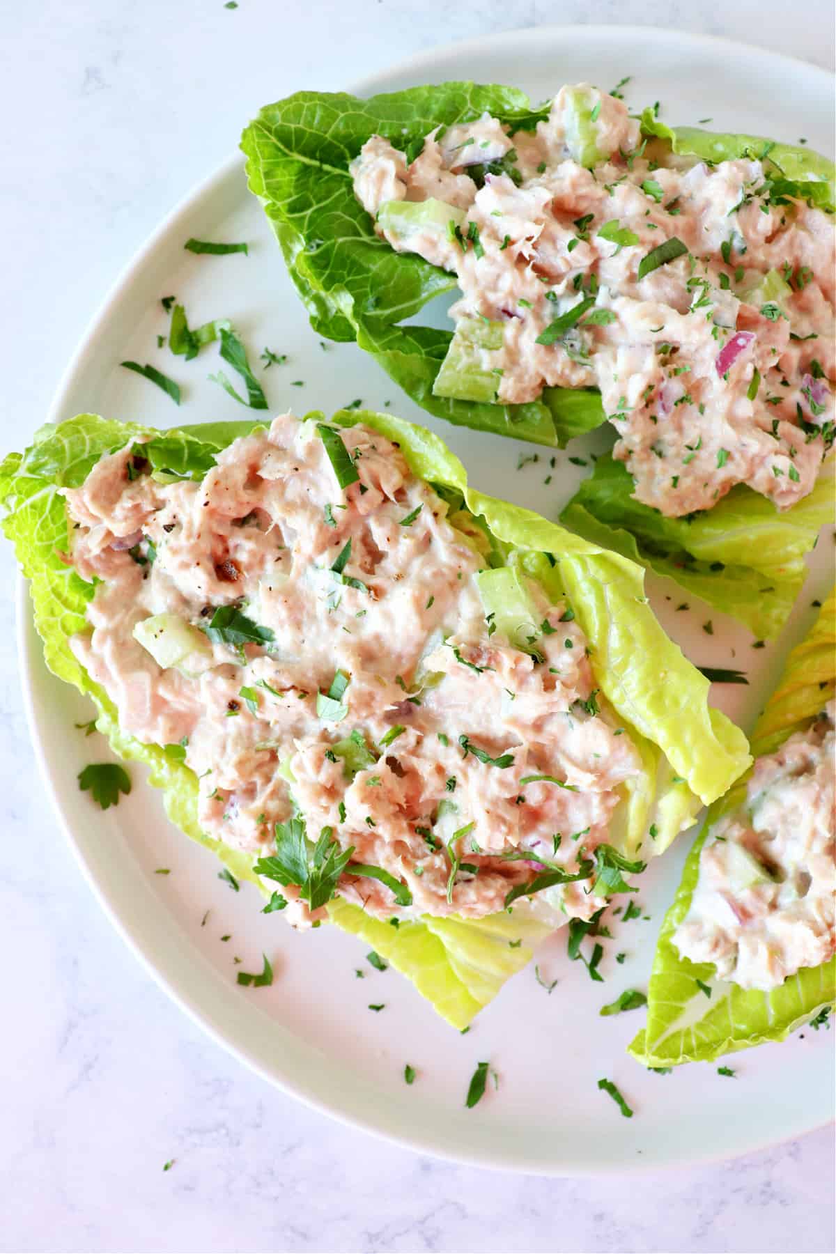 Tuna salad on a lettuce leaf.