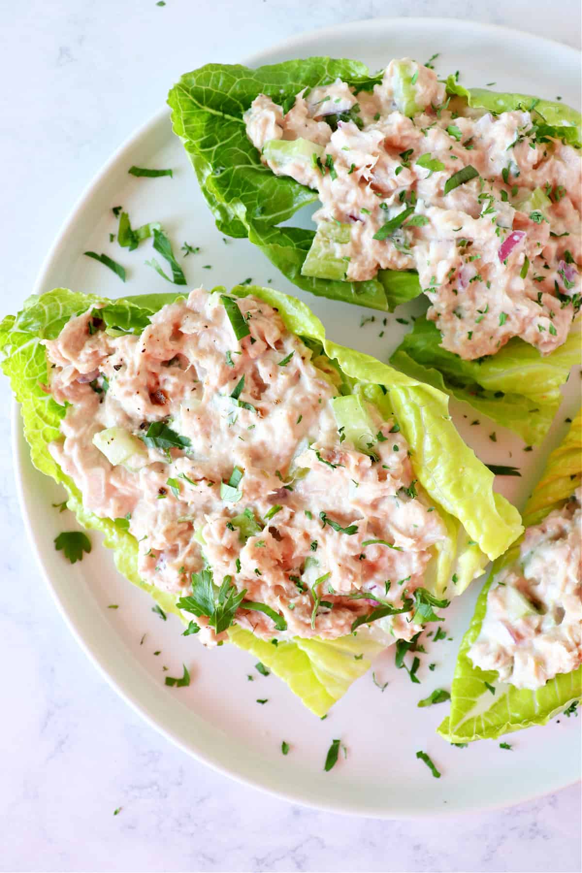 Best Tuna Salad recipe Tuna salad on a lettuce leaf.