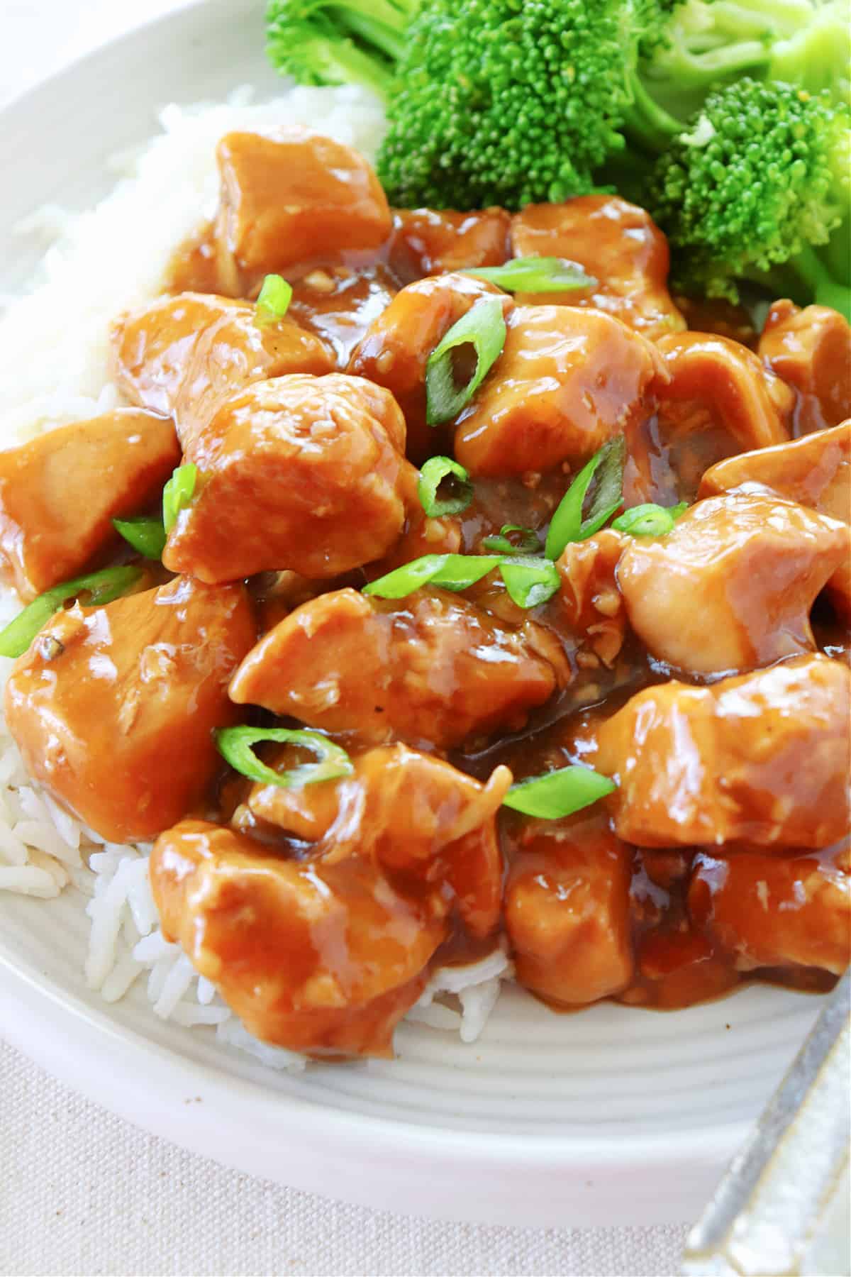 Close up shot of teriayki chicken on a plate.