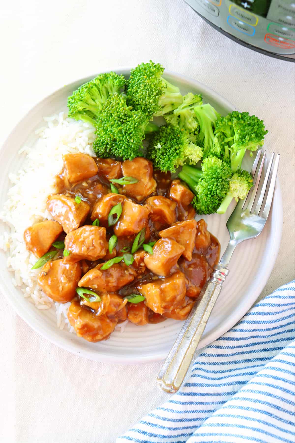 Instant Pot teriyaki chicken with rice on a plate.