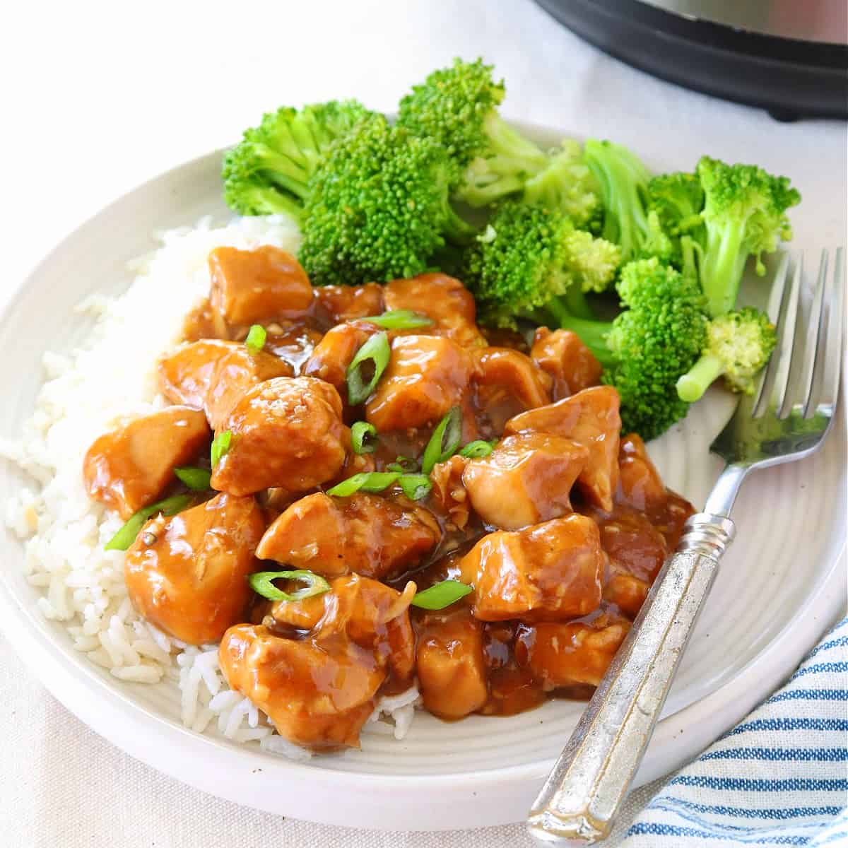 Instant Pot teriyaki chicken on a plate.