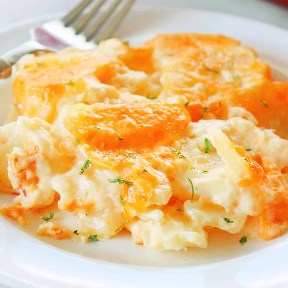 Scalloped potatoes on a plate.