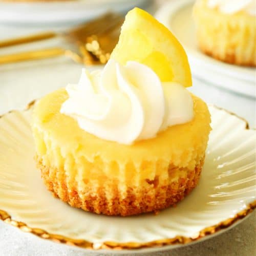 Lemon mini cheesecake on a white plate with gold rim.