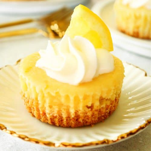 Mini cheesecake with whipped cream and lemon piece on a plate.