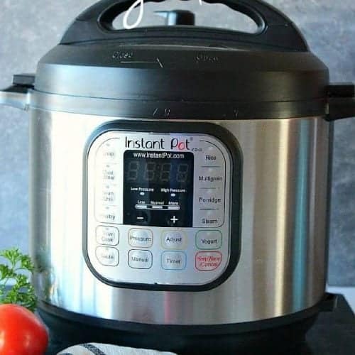 Square photo of the open Instant Pot against a gray background.