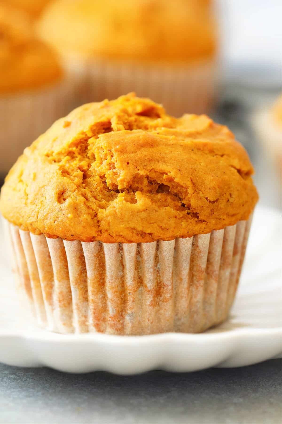 Close up photo of a pumpkin muffin in parchment liner on a white dessert plate.