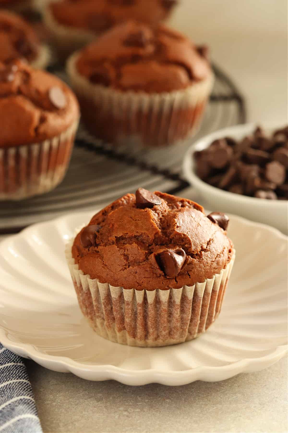 Chocolate muffin with chocolate chips on top on a cream plate with muffins on a cooling rack in the background.