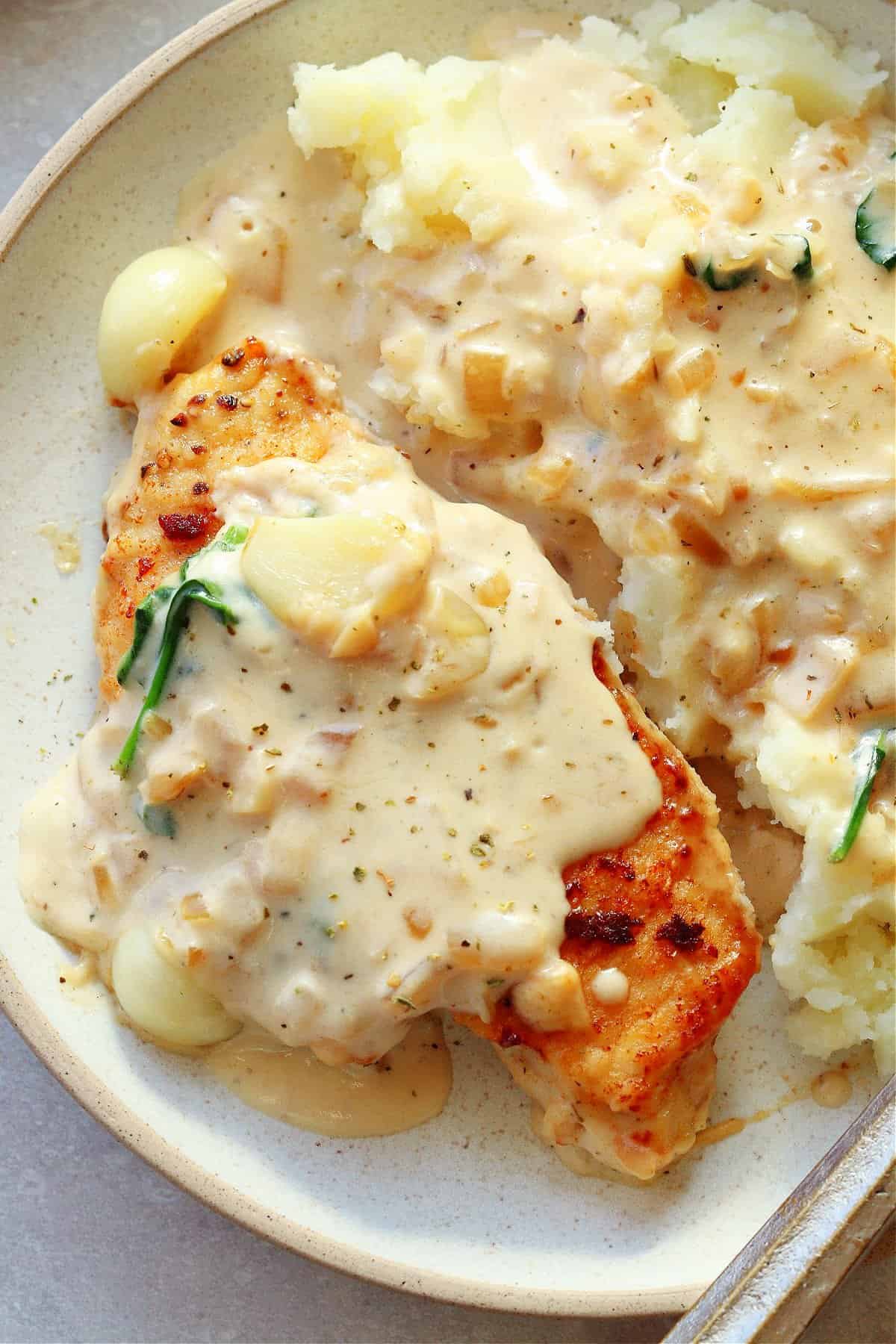 Chicken breast with creamy sauce and mashed potatoes on a speckled plate with fork.