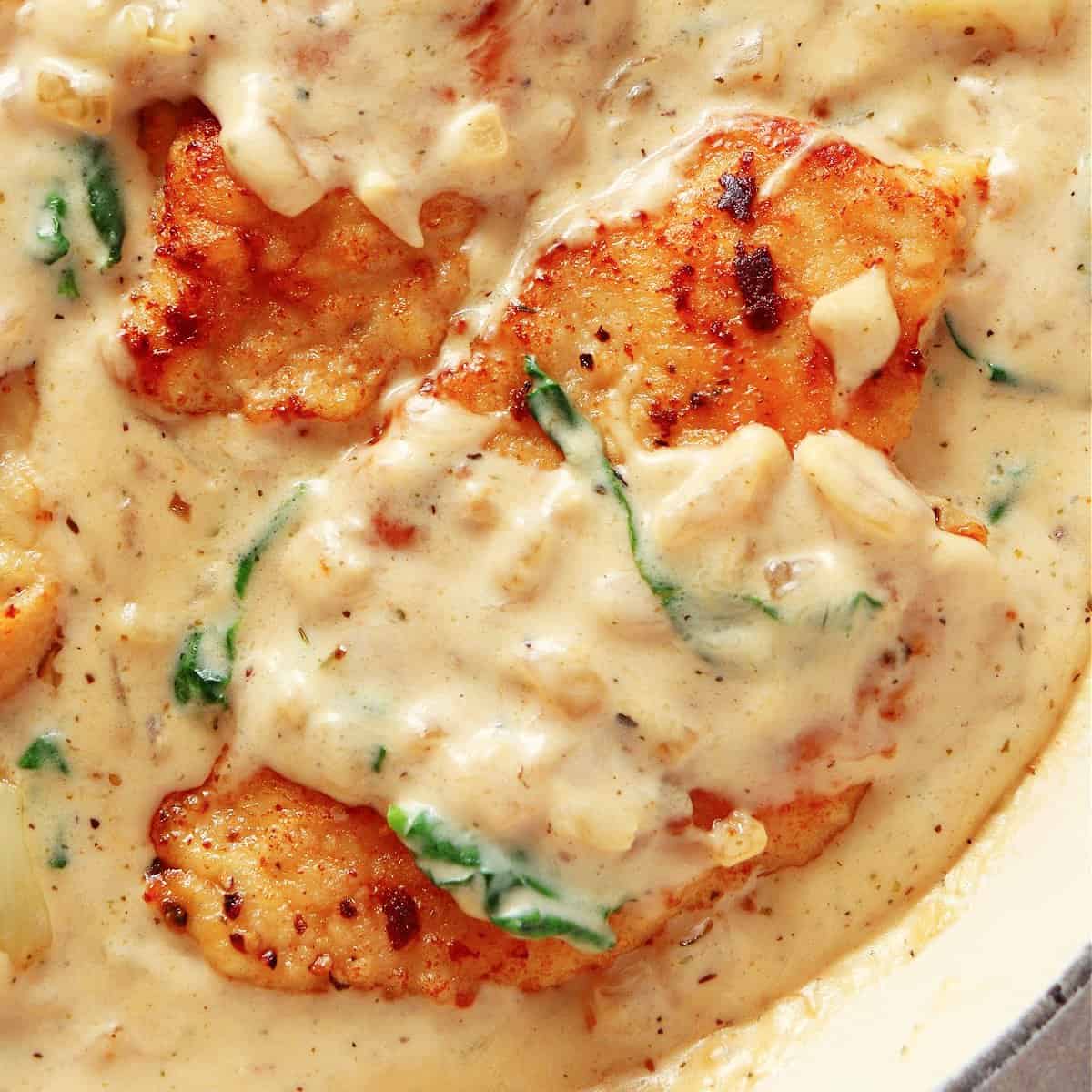 Square image of creamy garlic chicken in a skillet.