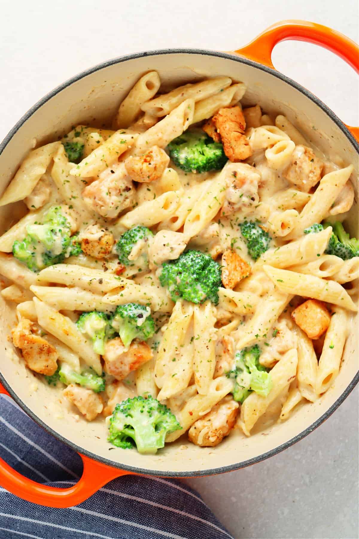 Penne pasta, broccoli and chicken in creamy sauce in an orange Dutch oven.