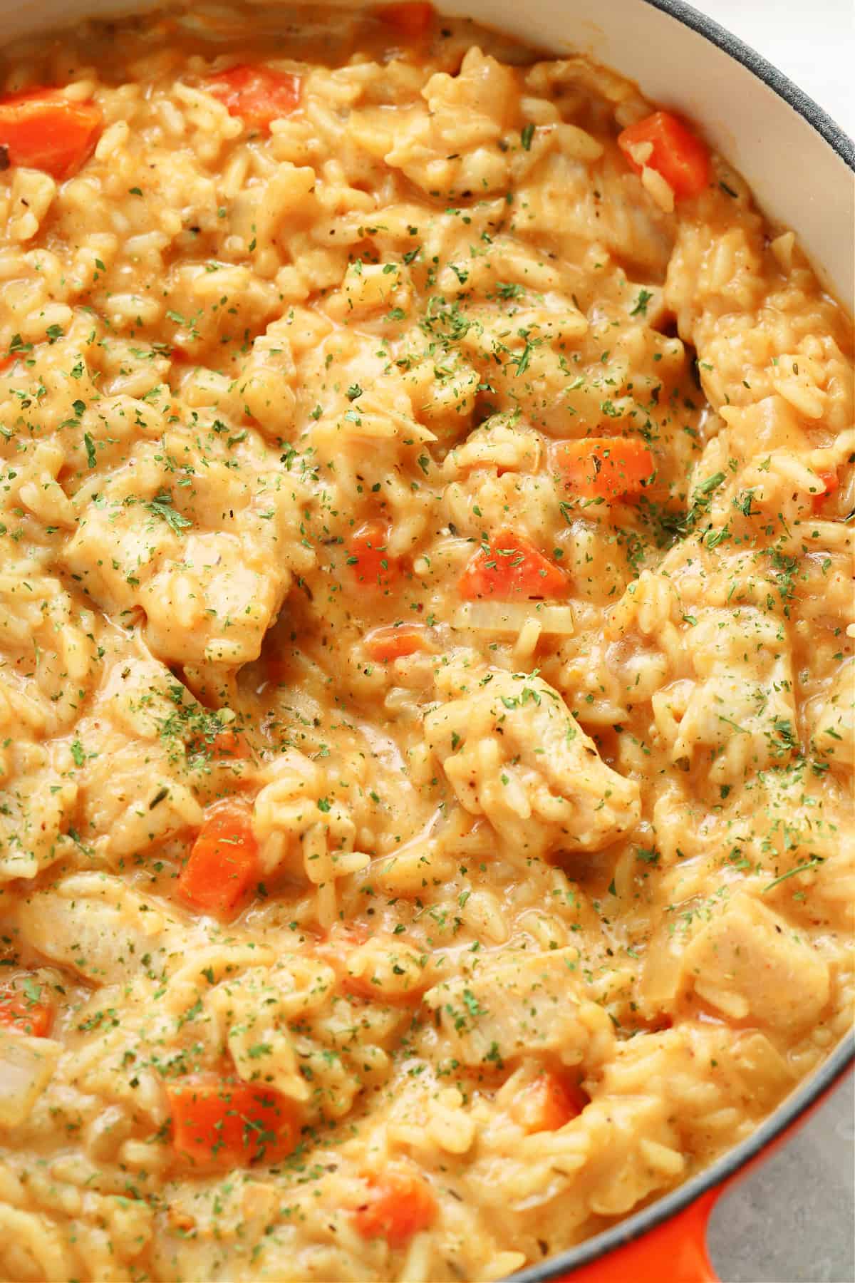 Close up photo of creamy chicken and rice in a pan.